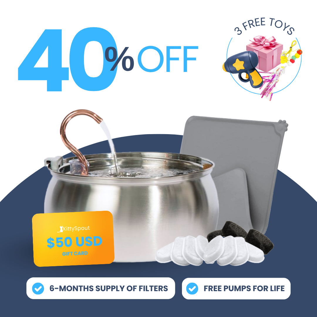 Back to School Sale