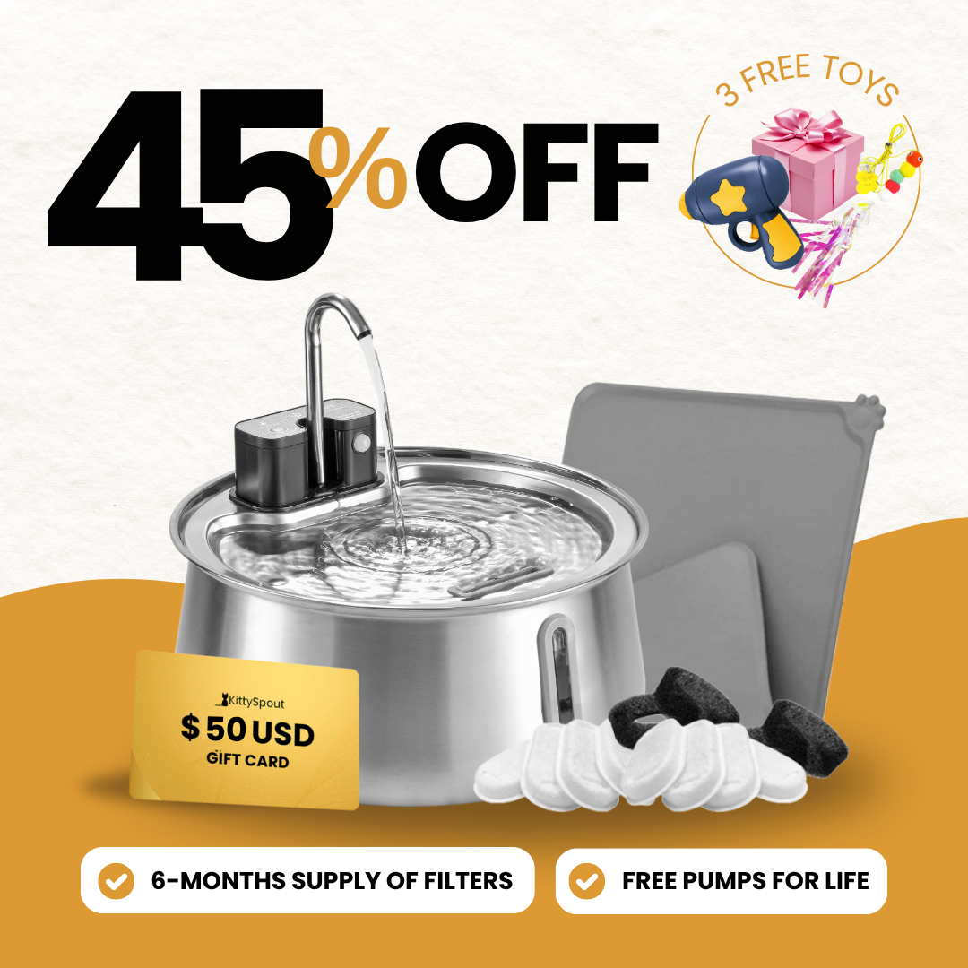 KittySpout bundle