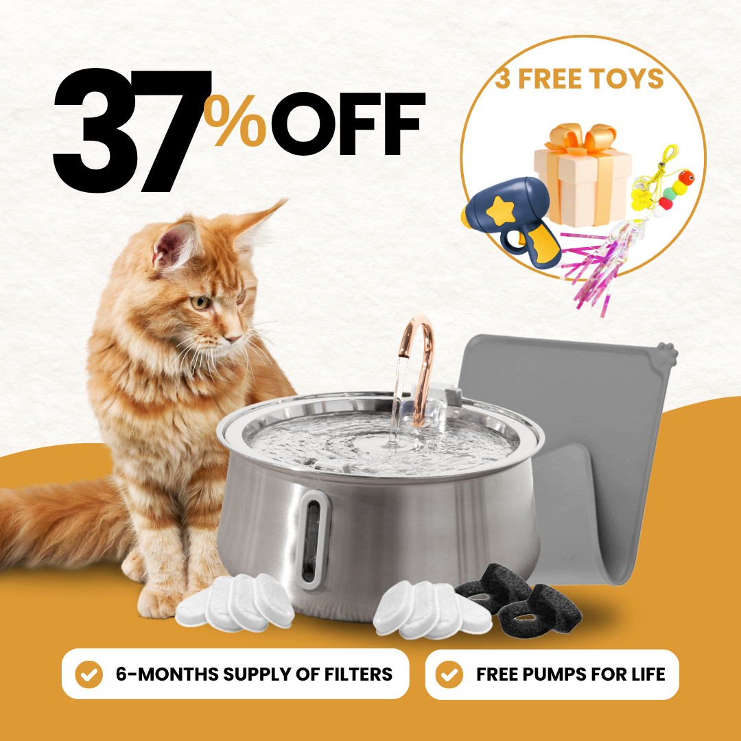 KittySpout bundle