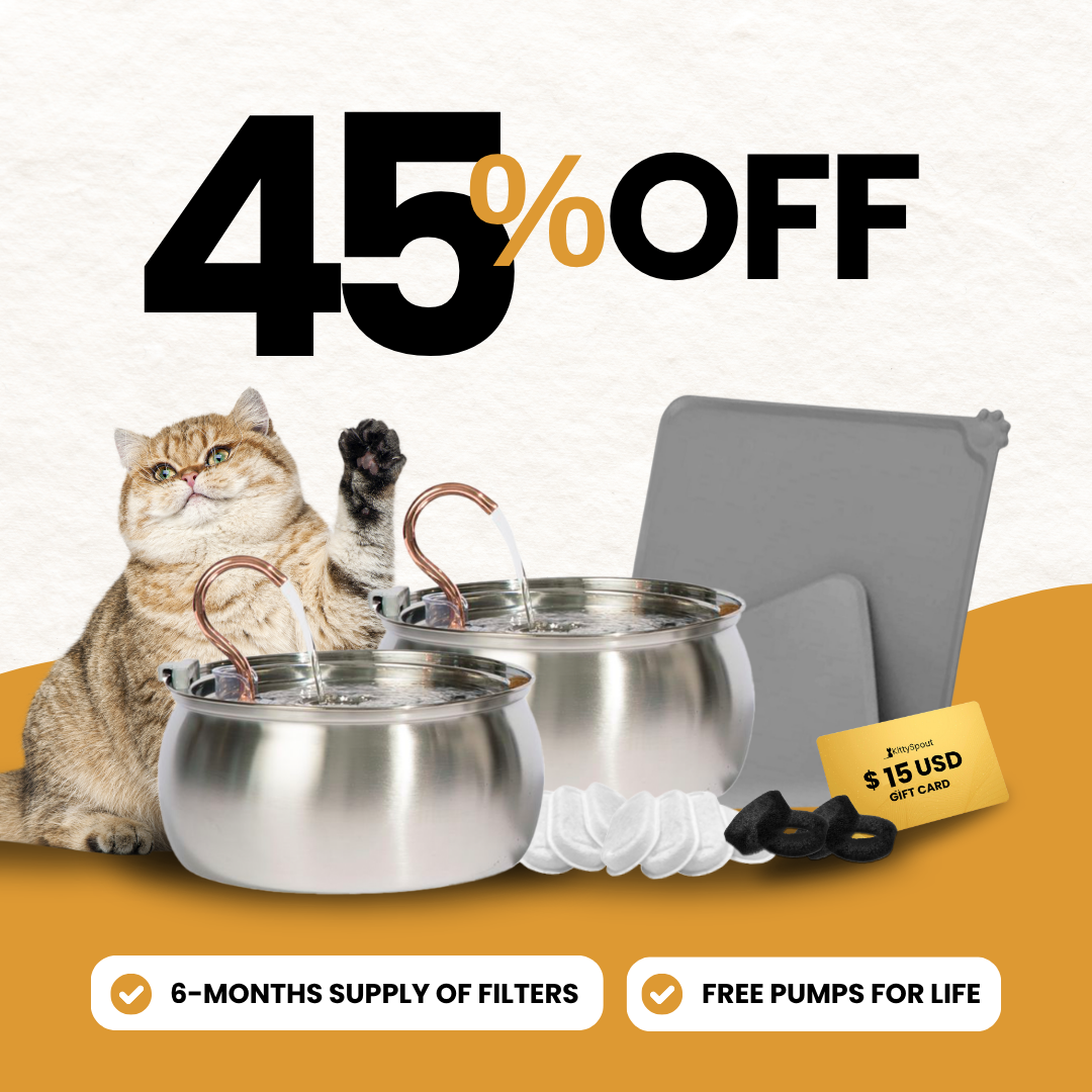 KittySpout bundle