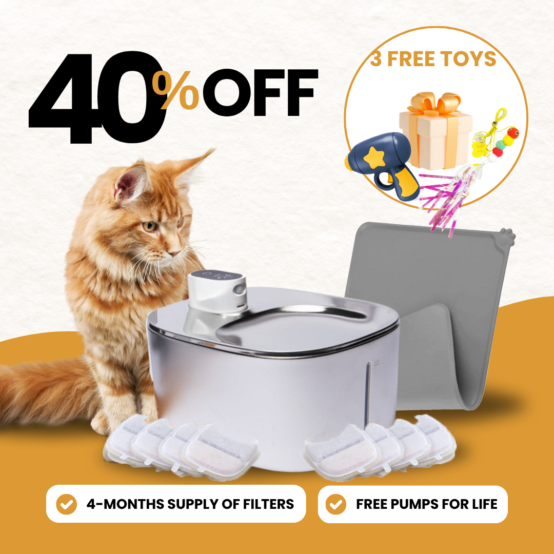 KittySpout bundle