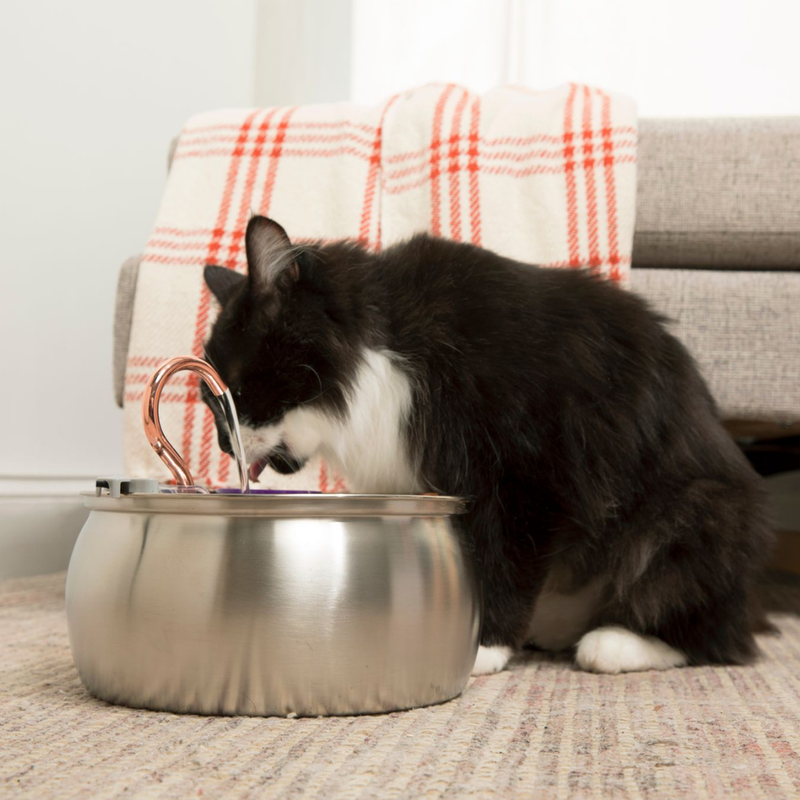 Built to Eliminate Whisker Fatigue