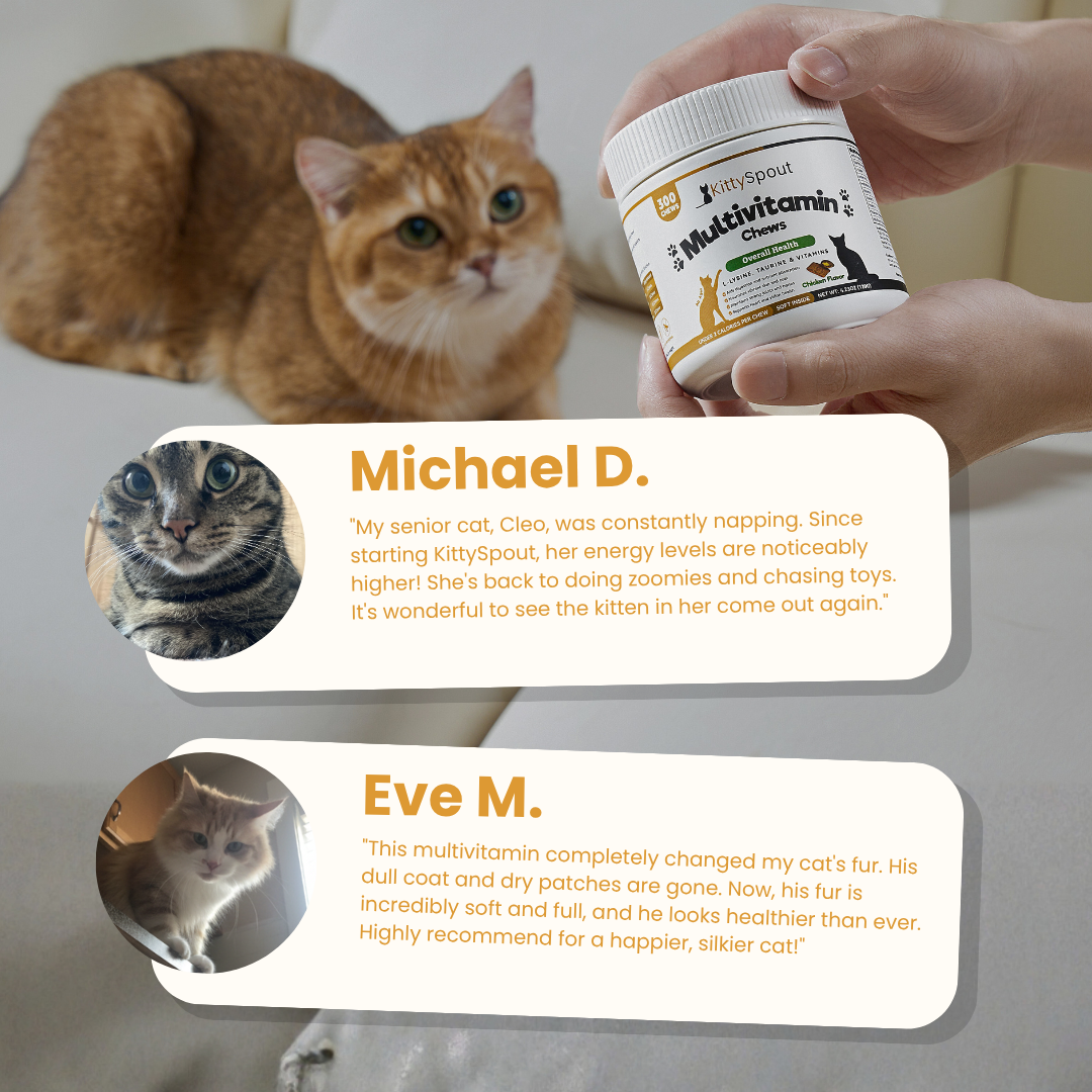 KittySpout Multivitamin Chews - 30 Day Supply