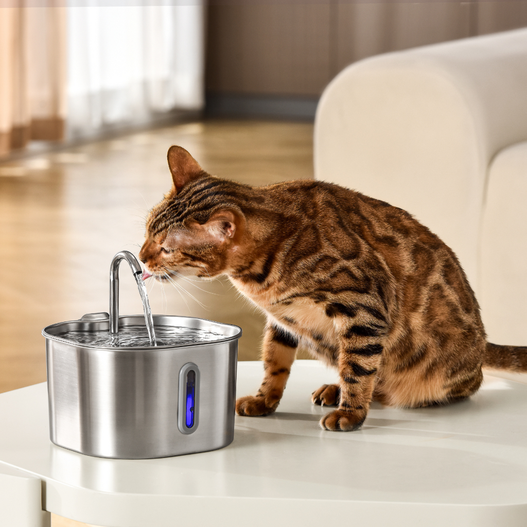 The KittySpout™ - 2.2L Fountain 2–month Kit