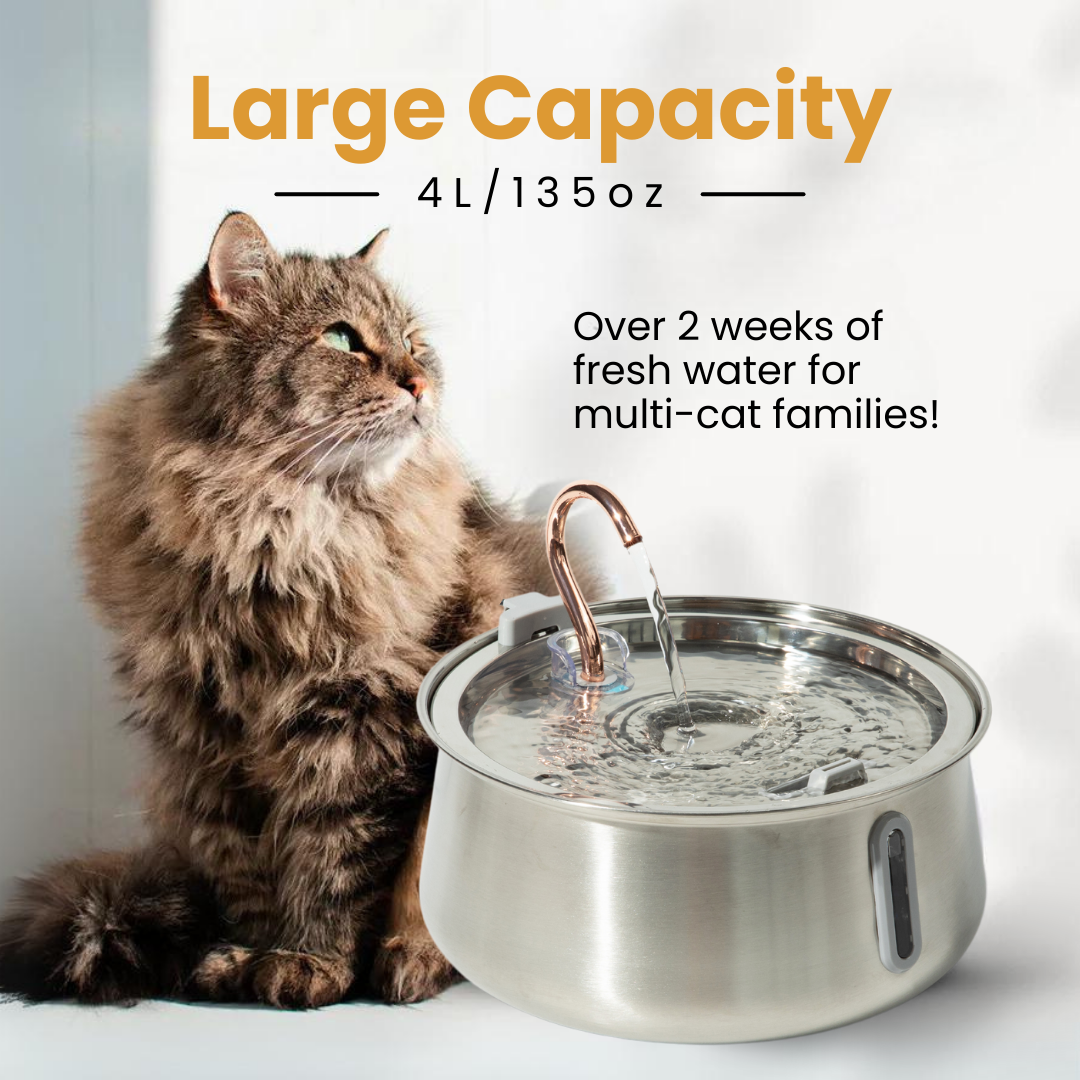 Pre-Owned The KittySpout 2.0 - Health & Happiness Cat Kit - 4 Month: KittySpout + 8 filter sets + AC adapter + FREE gift
