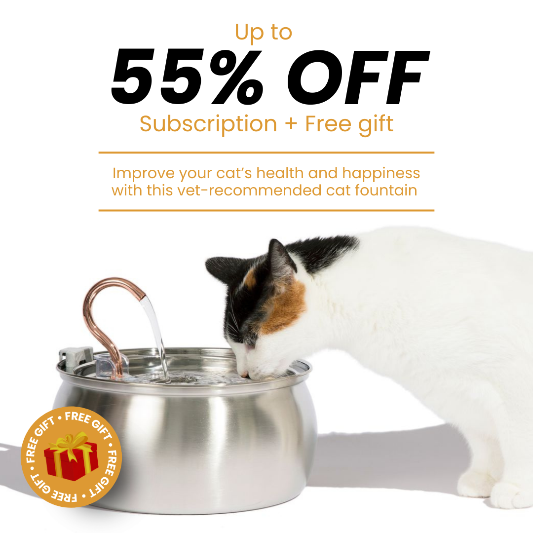 Kit de salud y felicidad para gatos The KittySpout™