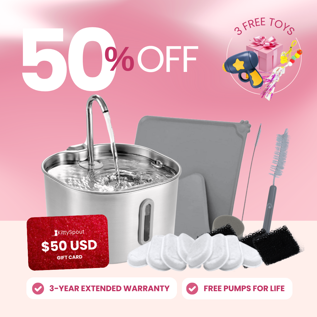 The KittySpout™ - 2.2L VIP Value Bundle