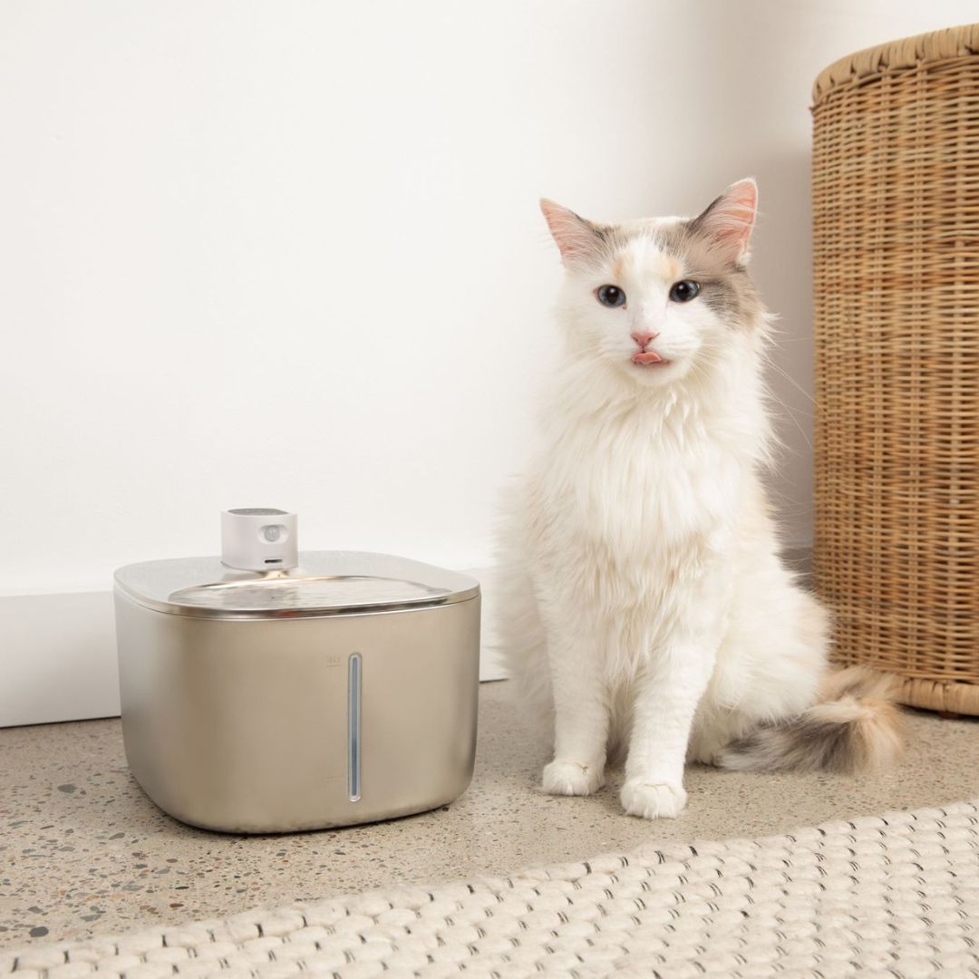 New The KittySpout - Wireless Fountain - 4 Month: Wireless KittySpout + 8 filter sets + free gift