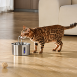 Der KittySpout™ – 2,2-Liter-Brunnen – 2-Monats-Kit thumbnail