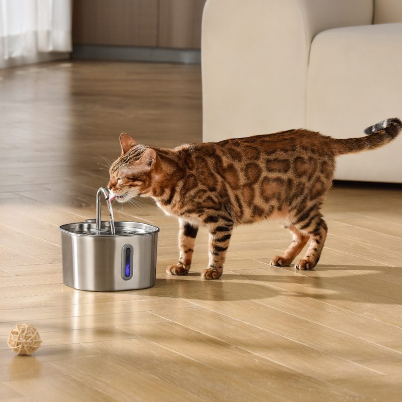 Der KittySpout™ – 2,2-Liter-Brunnen – 2-Monats-Kit