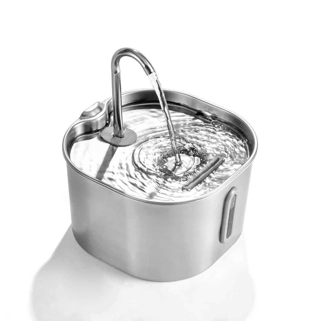 The KittySpout™ - 2.2L Fountain 2–month Kit