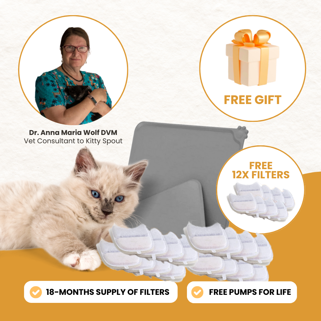 Dr. Anna Maria Wolf's Complete Hydration Kit