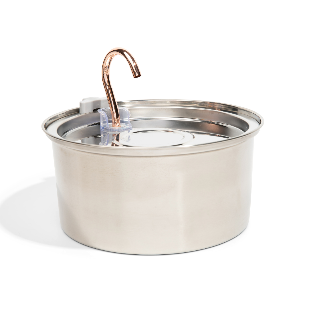 Kit de salud y felicidad para gatos The KittySpout™