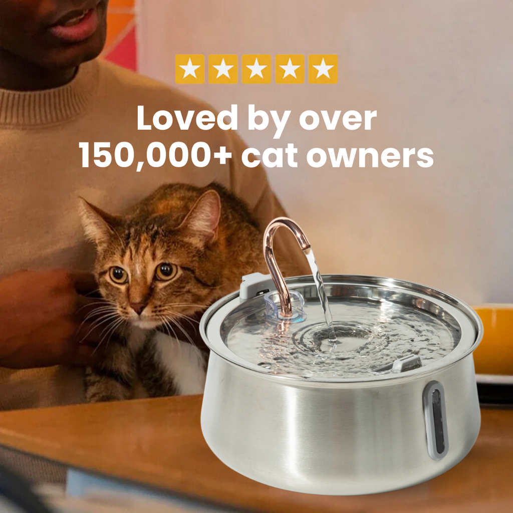 Pre-Owned The KittySpout 2.0 - Health & Happiness Cat Kit - 4 Month: KittySpout + 8 filter sets + AC adapter + FREE gift