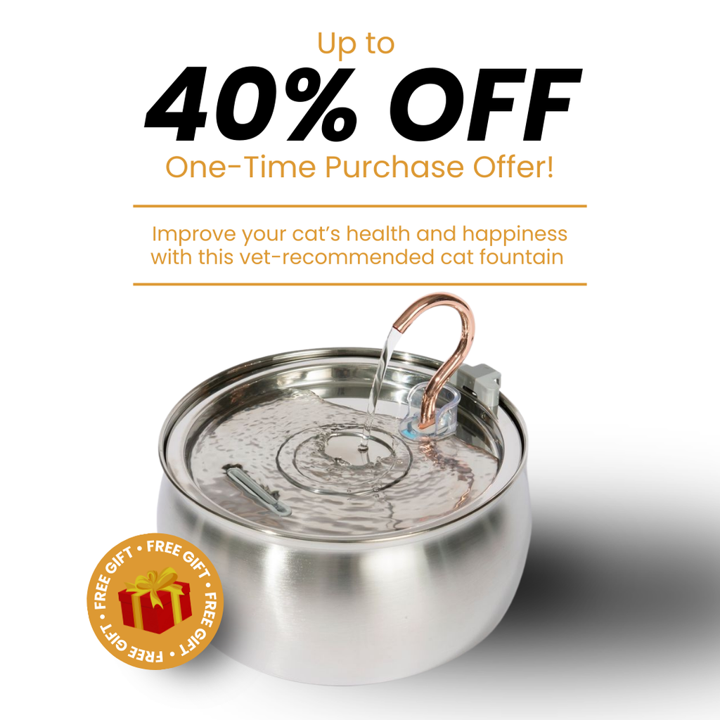 Kit de salud y felicidad para gatos The KittySpout™