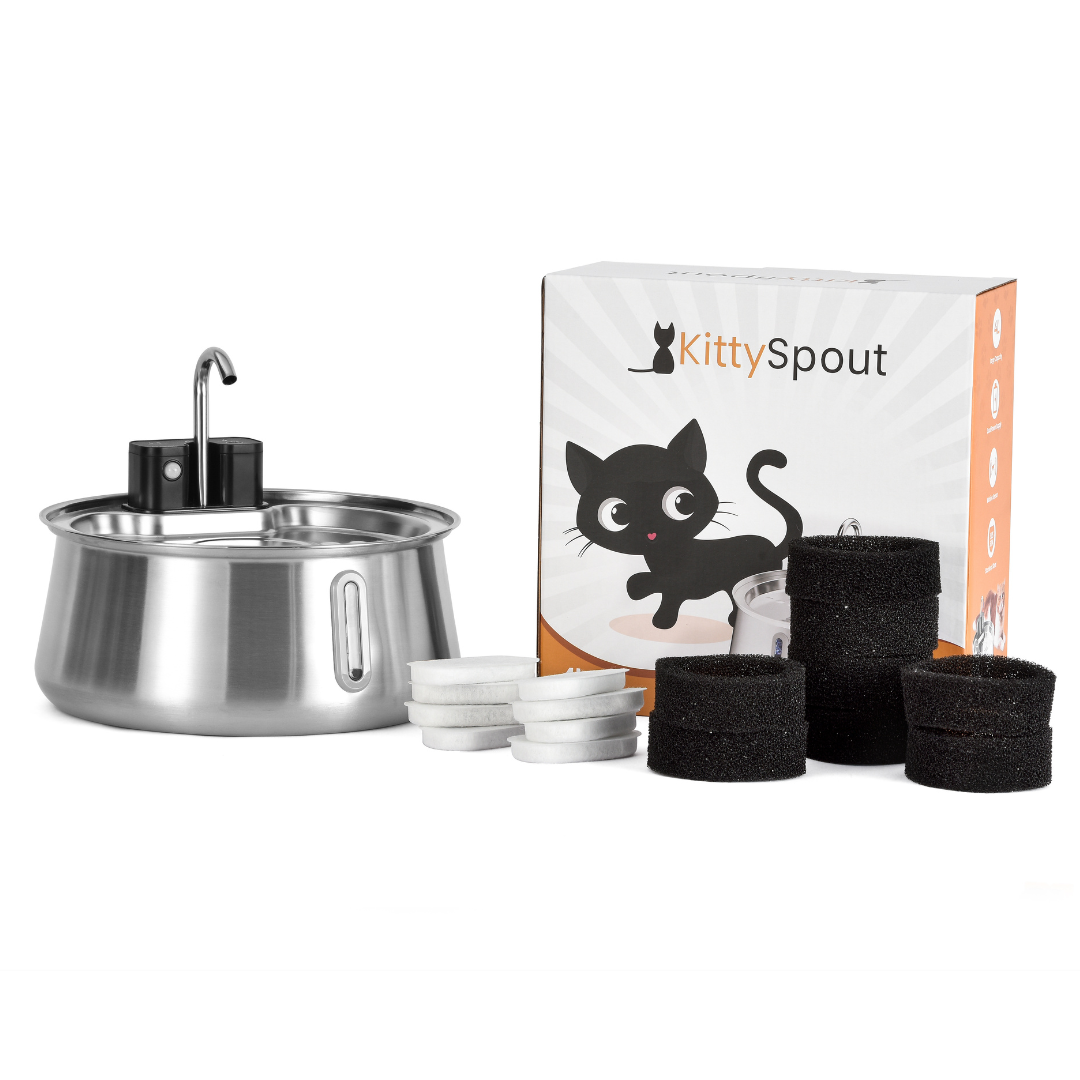 Refurbished The KittySpout - Wireless Fountain (Spout) - 6 Month: Wireless KittySpout + 8 filter sets + free gift