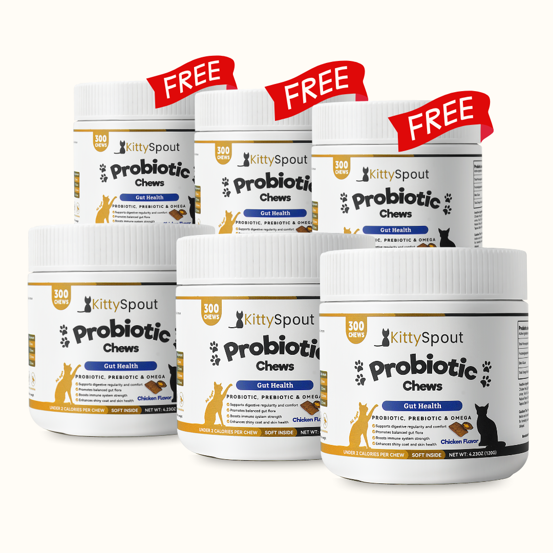 Probiotic Chews For Cats