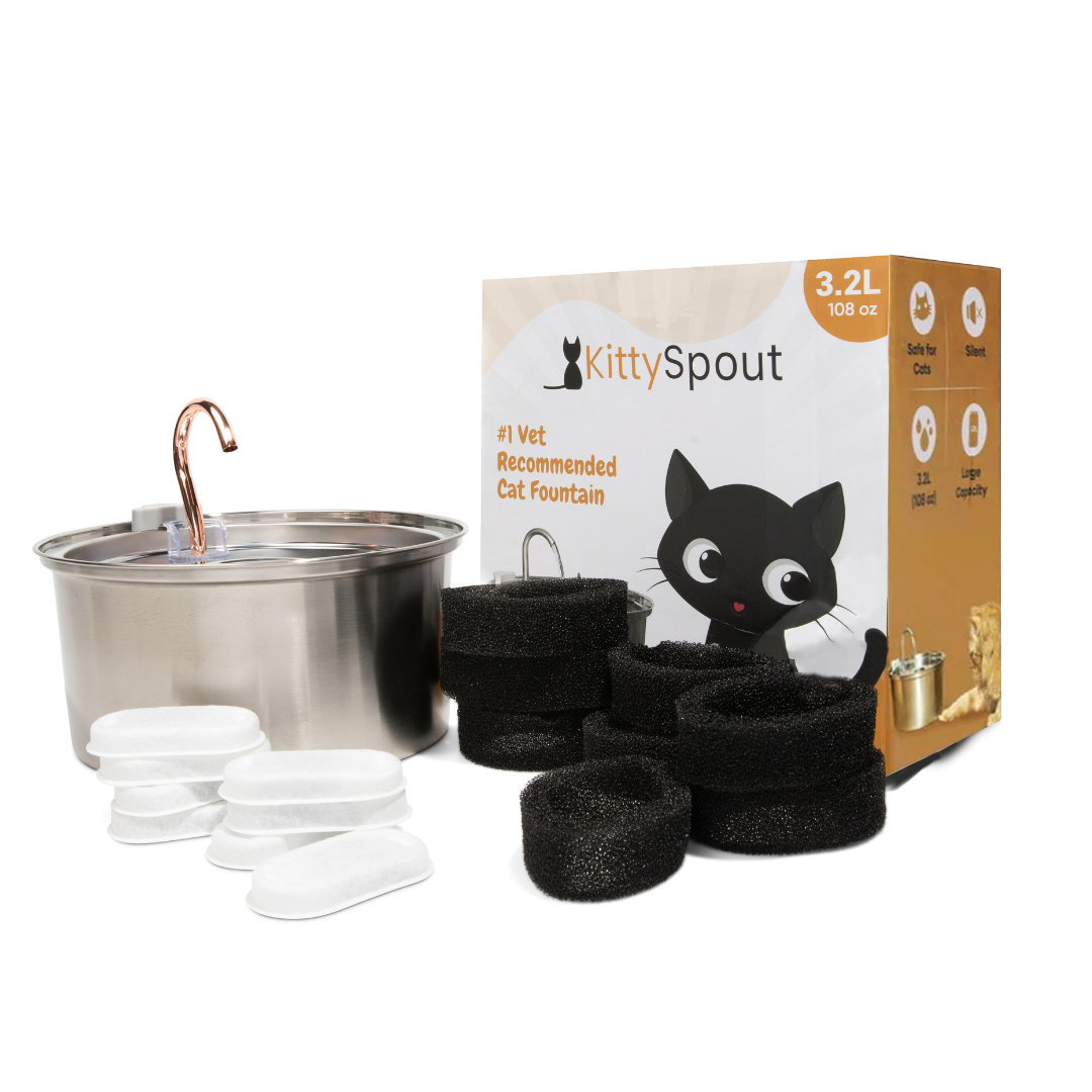 Kit de salud y felicidad para gatos The KittySpout™
