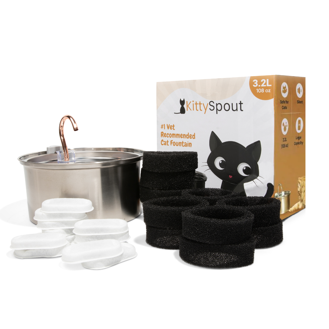 Kit de salud y felicidad para gatos The KittySpout™