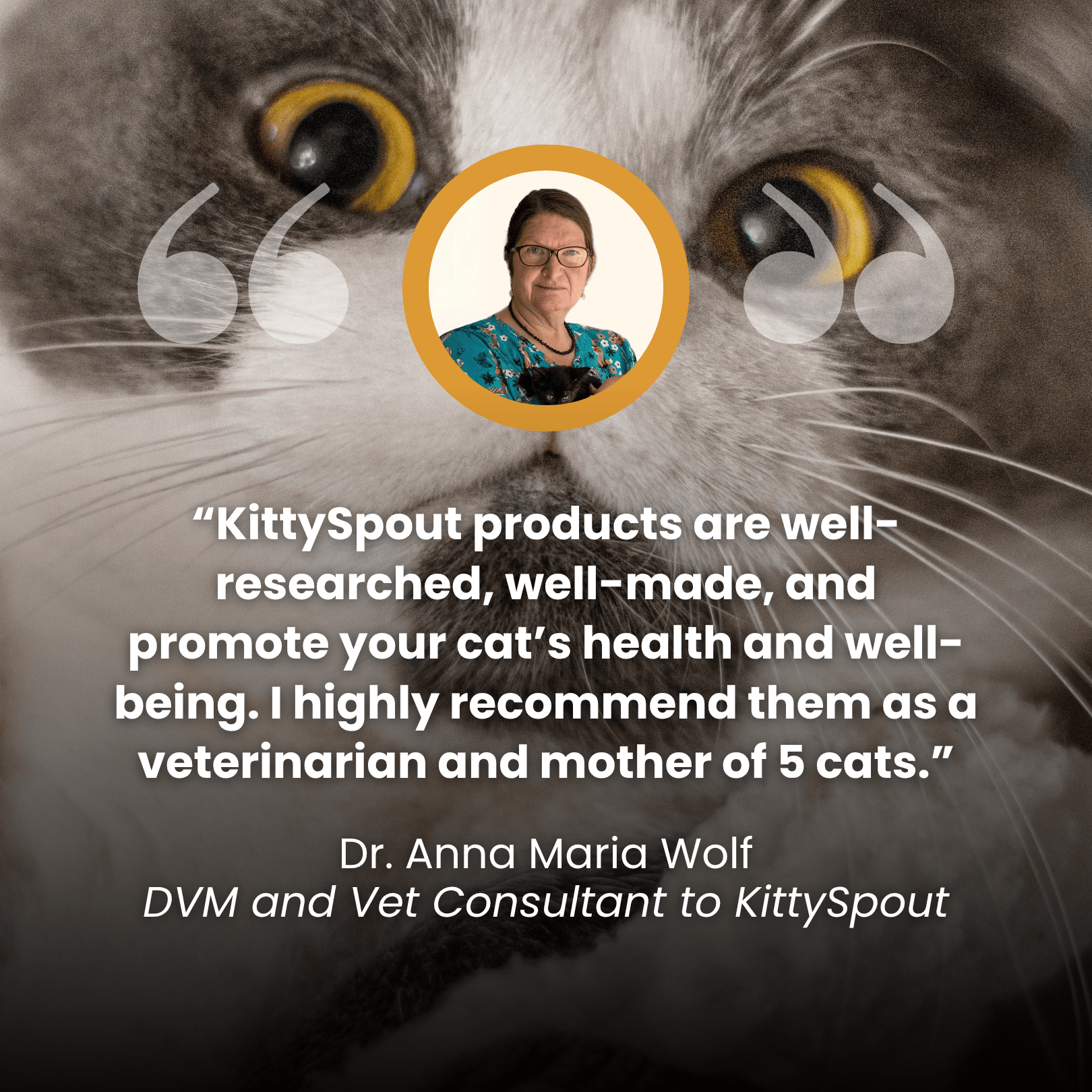 Kit de salud y felicidad para gatos The KittySpout™