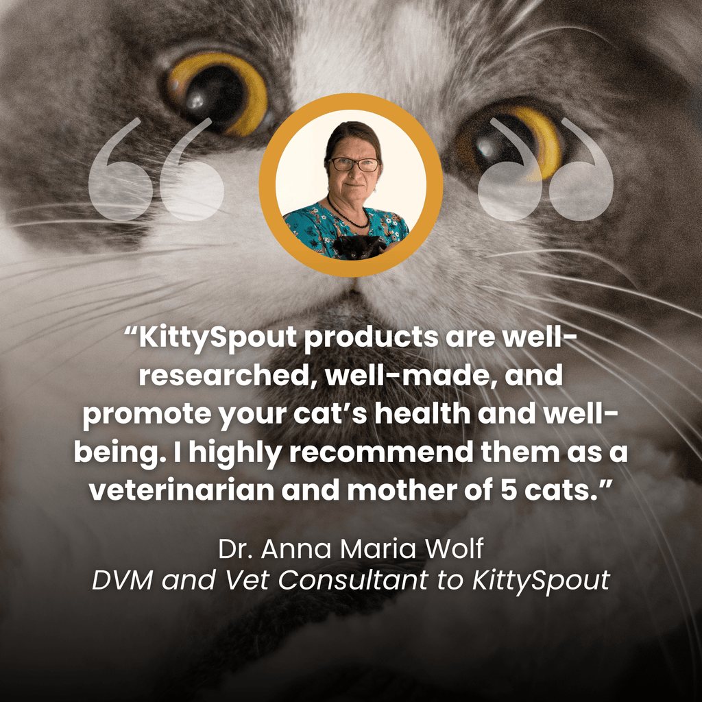 Kit de salud y felicidad para gatos The KittySpout™