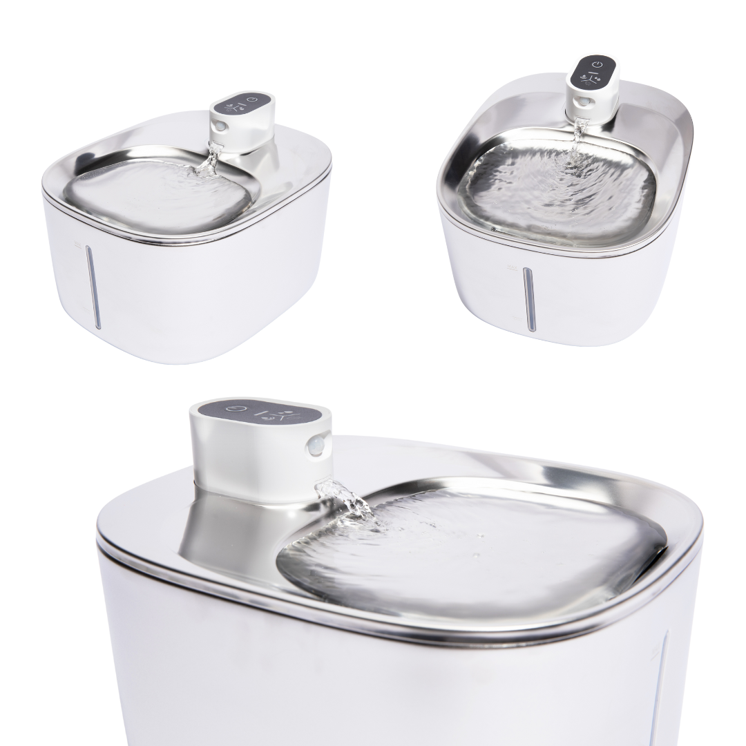 Refurbished The KittySpout - Wireless Fountain - 4 Month: Wireless KittySpout + 8 filter sets + free gift