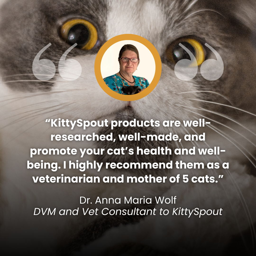 Kit de salud y felicidad para gatos The KittySpout™