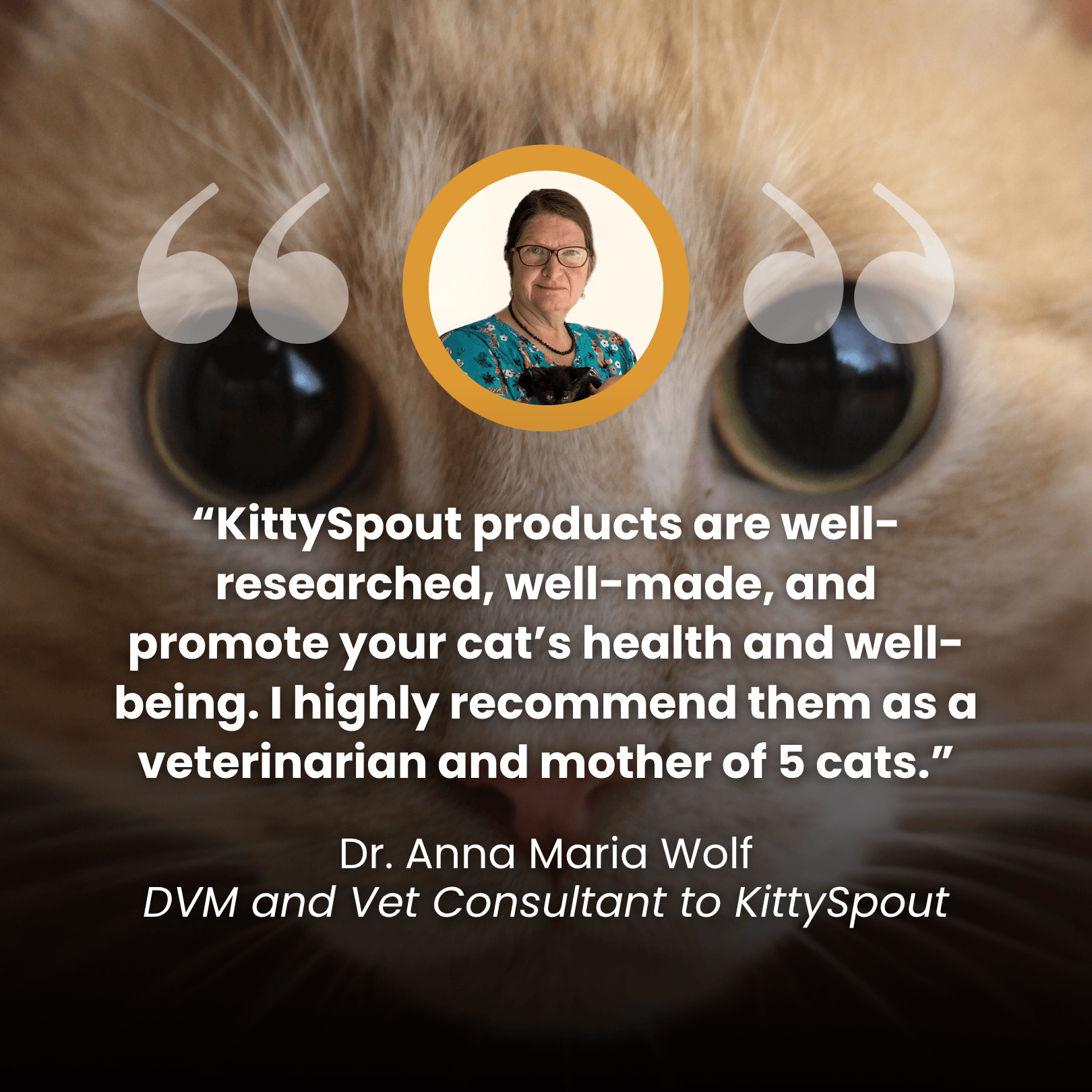 La KittySpout™ - Fuente inalámbrica