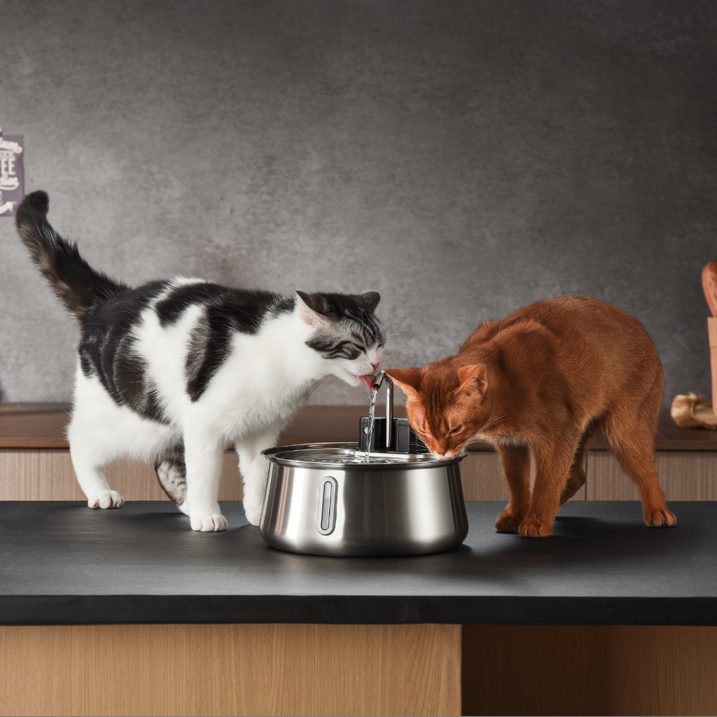 KittySpout™ - Faucet-Flow Wireless Fountain