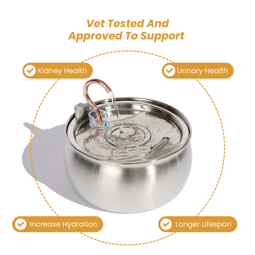 Kit de salud y felicidad para gatos The KittySpout™