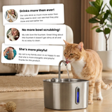 The KittySpout™ - 2.2L Fountain 2–month Kit thumbnail