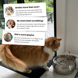 Le KittySpout™ thumbnail