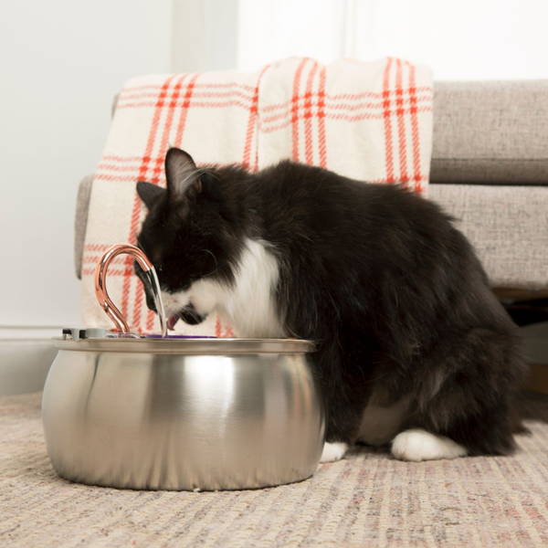 Faucet-style [Design That Cats Love]