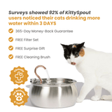 KittySpout™ thumbnail