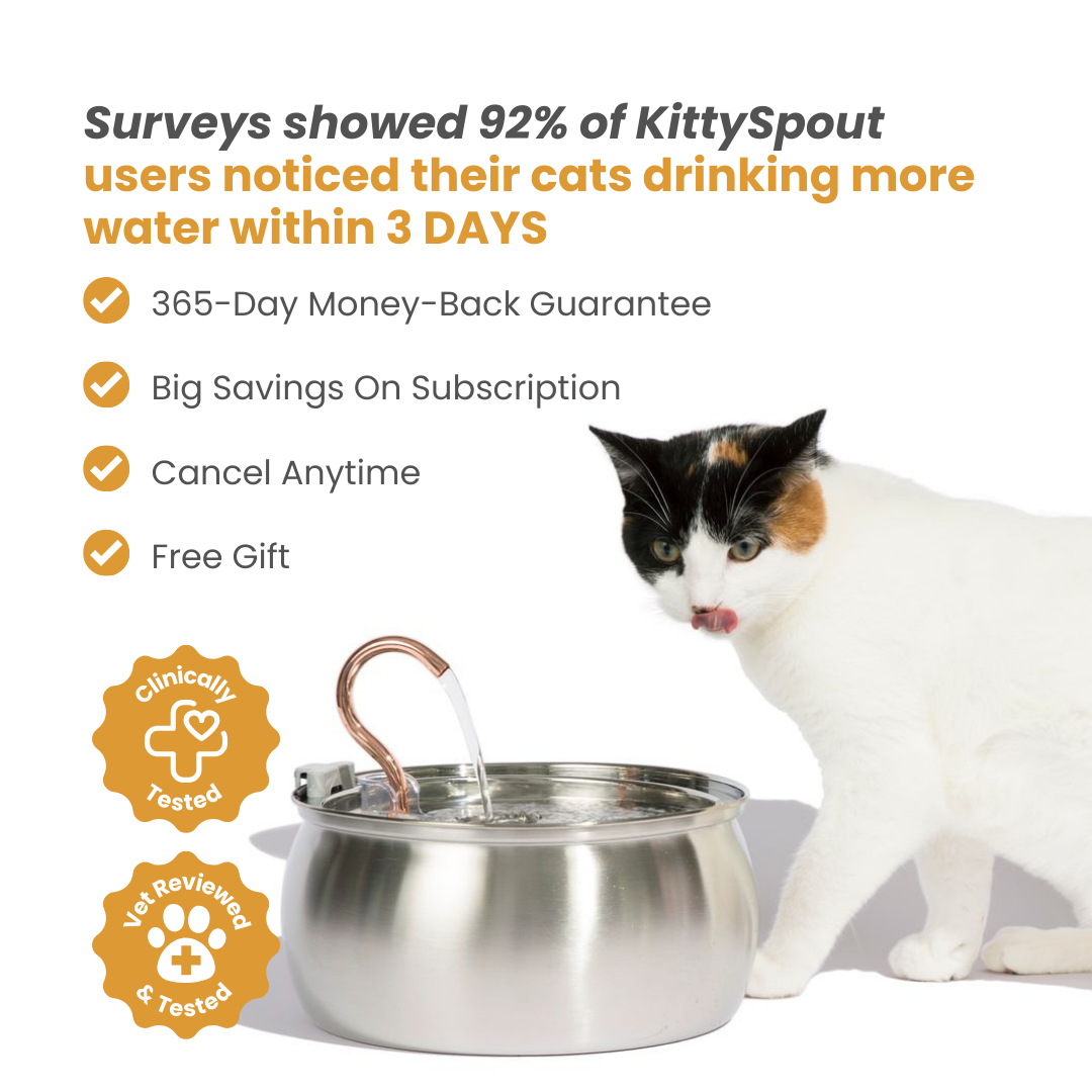 Kit de salud y felicidad para gatos The KittySpout™