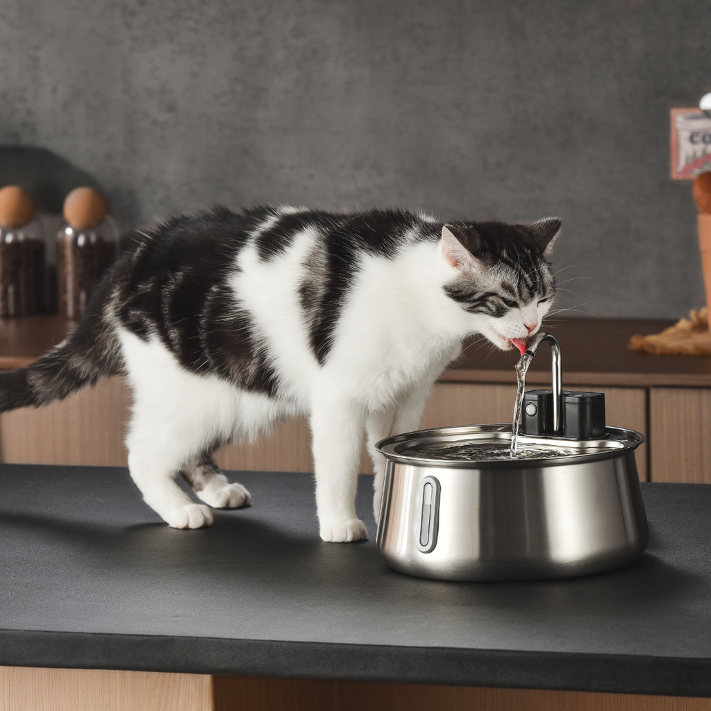 KittySpout™ - Faucet-Flow Wireless Fountain