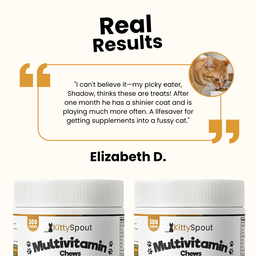 KittySpout Multivitamin Chews