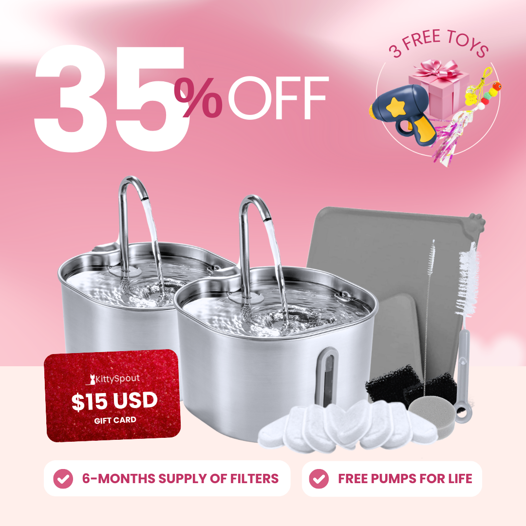 The KittySpout™ - 2.2L Big Cat Family Bundle