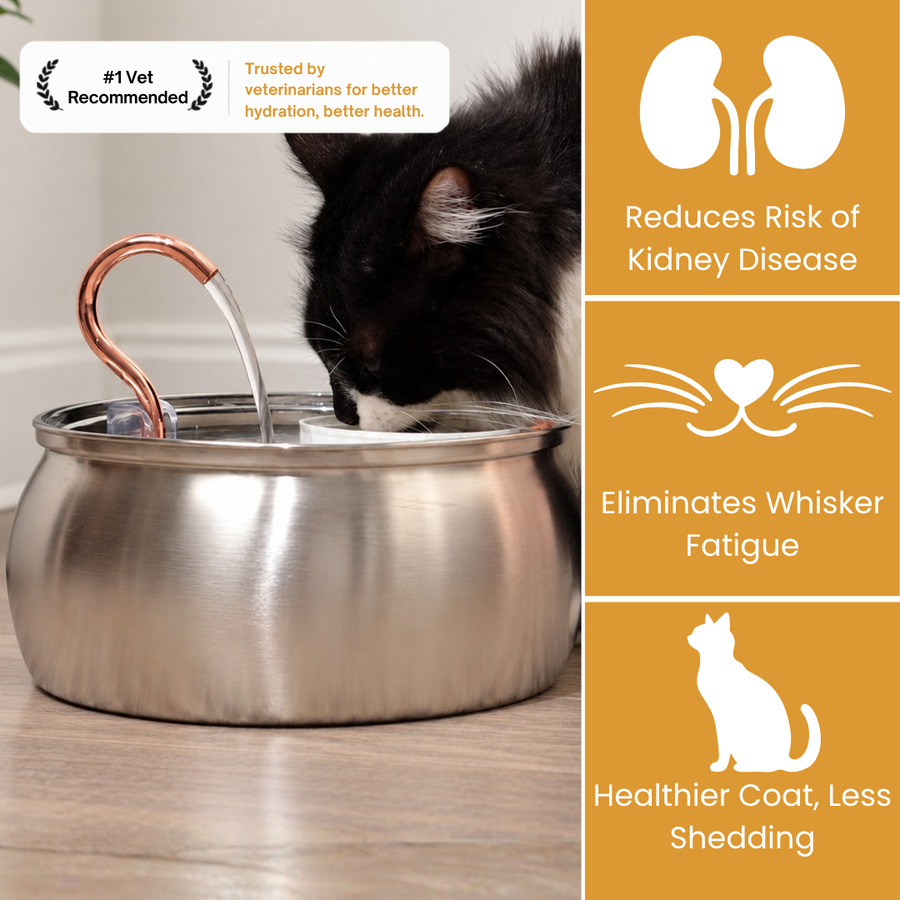 Le KittySpout™