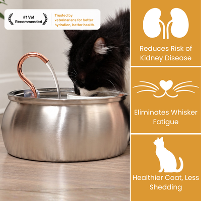 The KittySpout™ - Health & Happiness Cat Kit