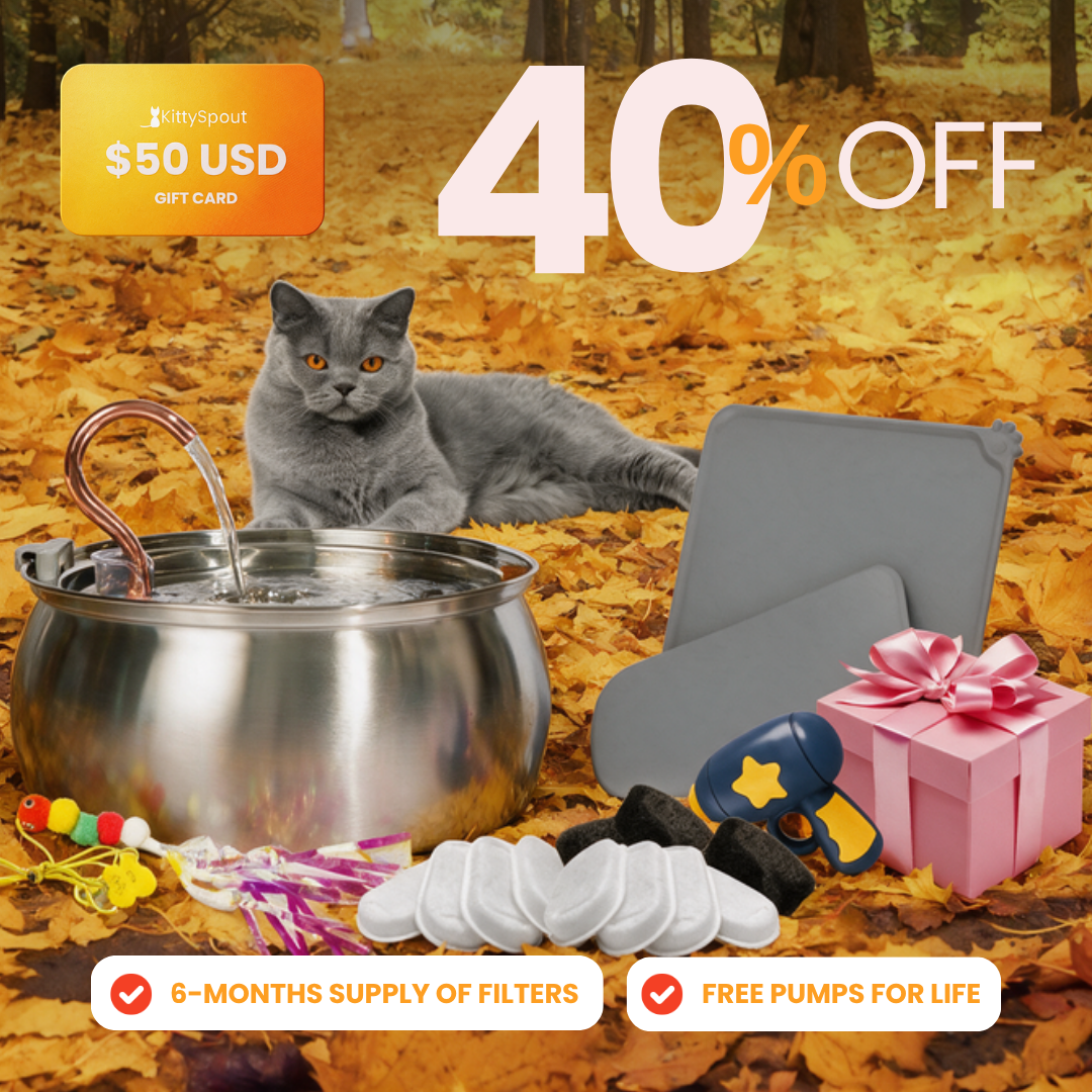 Fall Sale