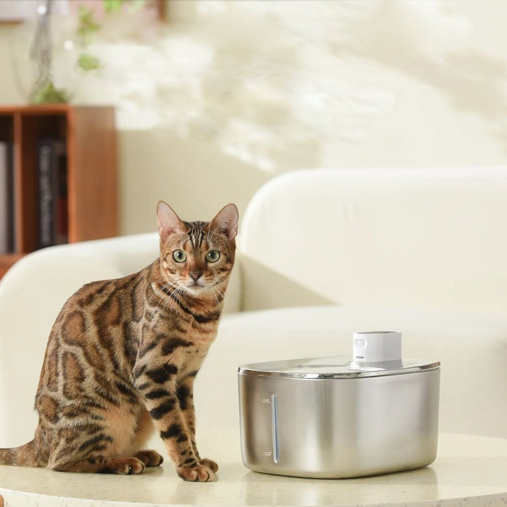 Filtros de repuesto inalámbricos KittySpout