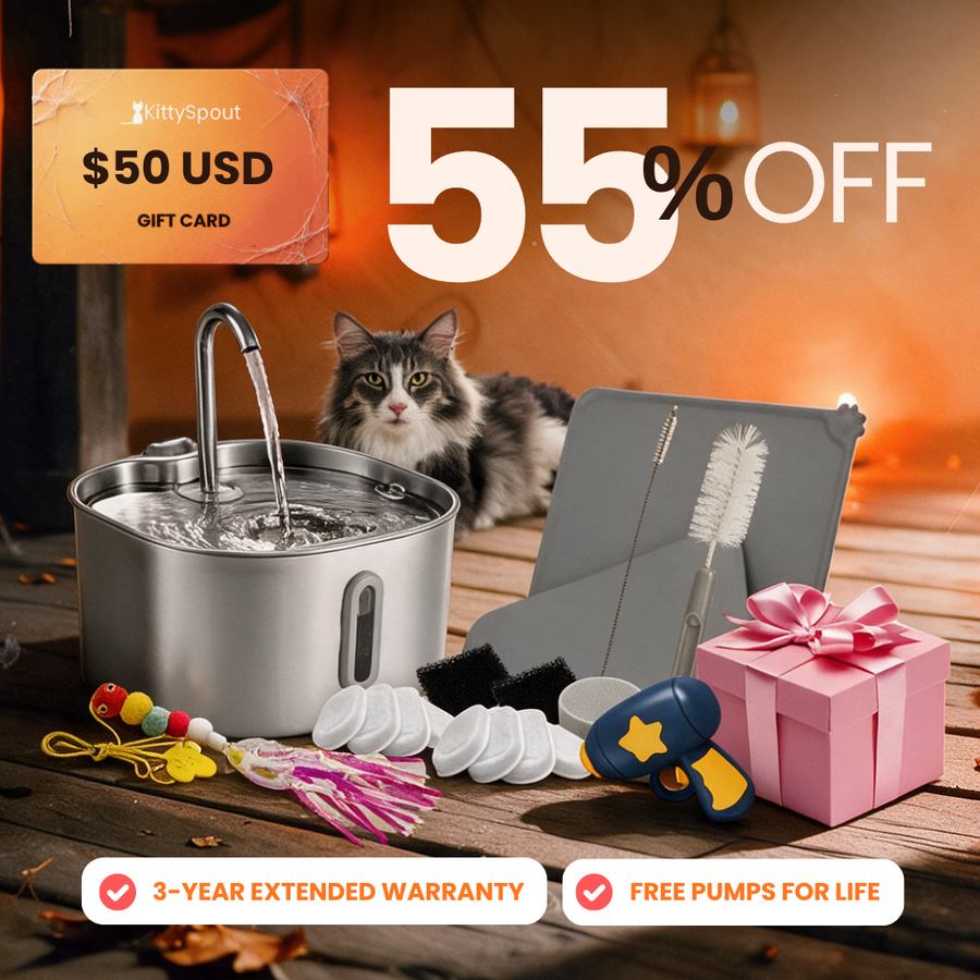 vip-value-bundle flash sale bundle