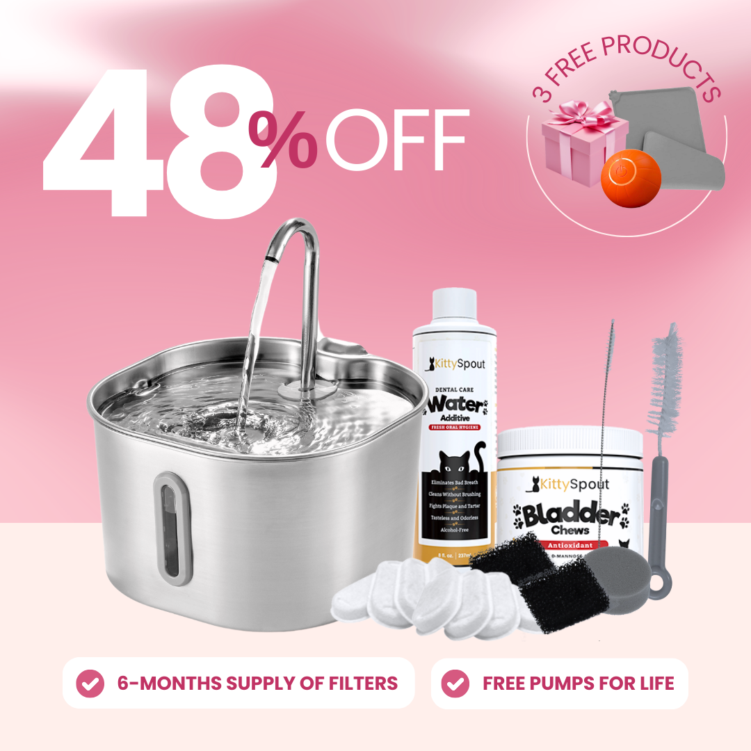 The KittySpout™ - 2.2L Hydration & Health Bundle