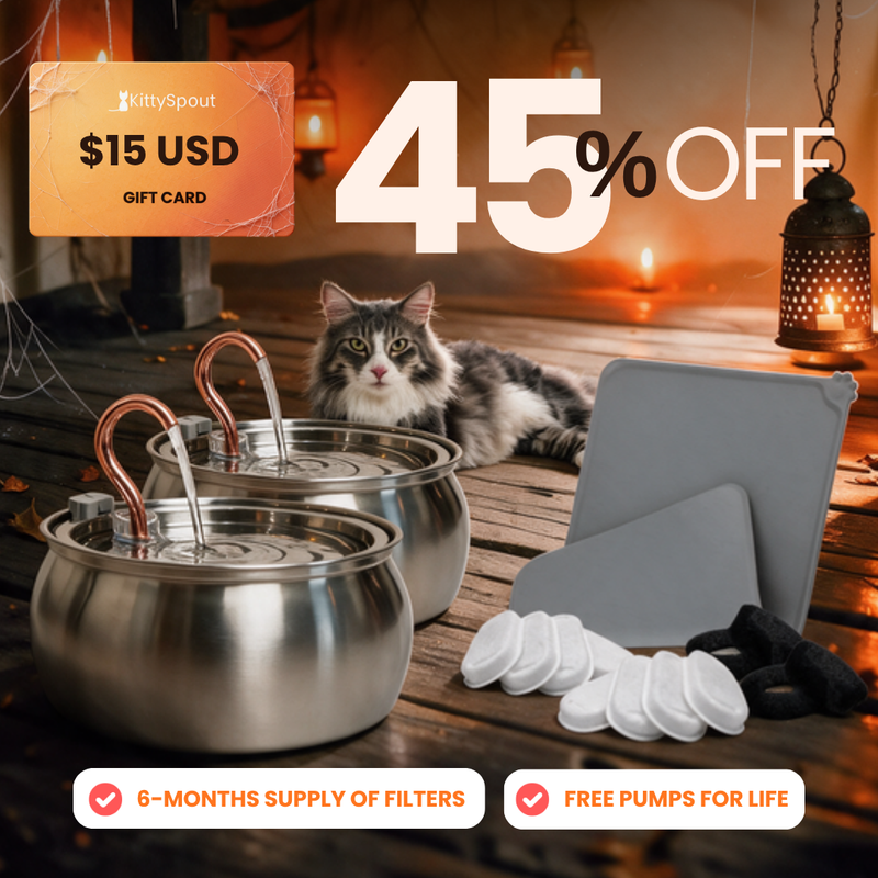 Big Cat Family Bundle
