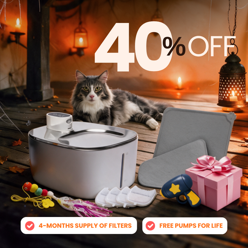 Purrrfect KittySpout Kit