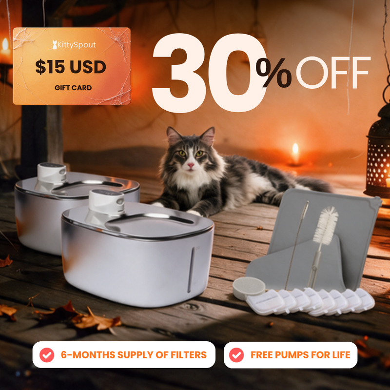 Big Cat Family Bundle