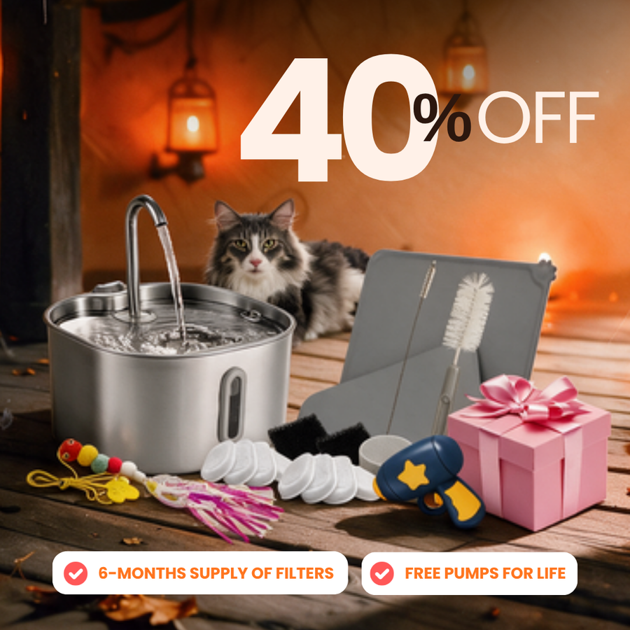 Purrrfect KittySpout Kit