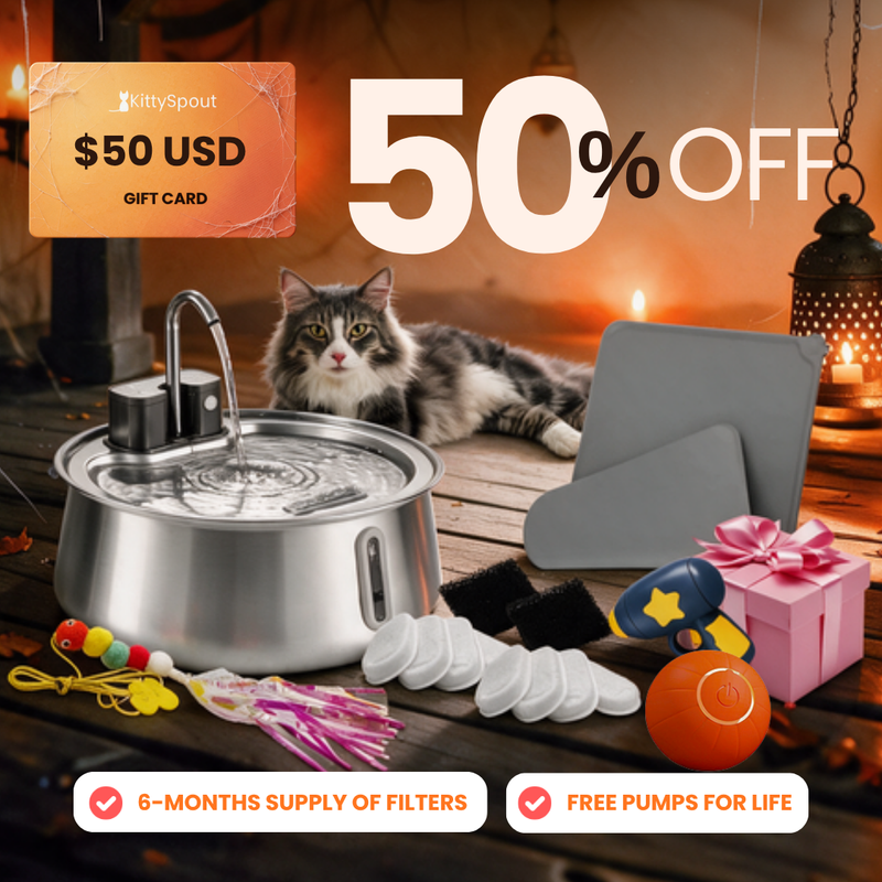 Hydration & Playtime Value Bundle
