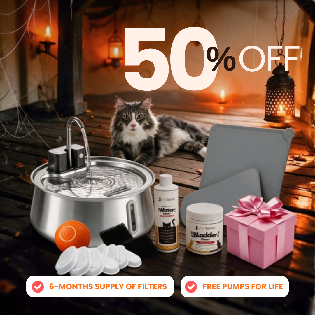 Hydration & Health Bundle